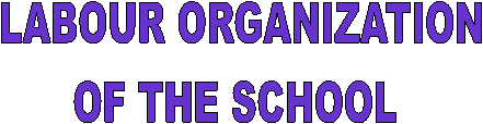 LABOUR ORGANIZATION
OF THE SCHOOL 